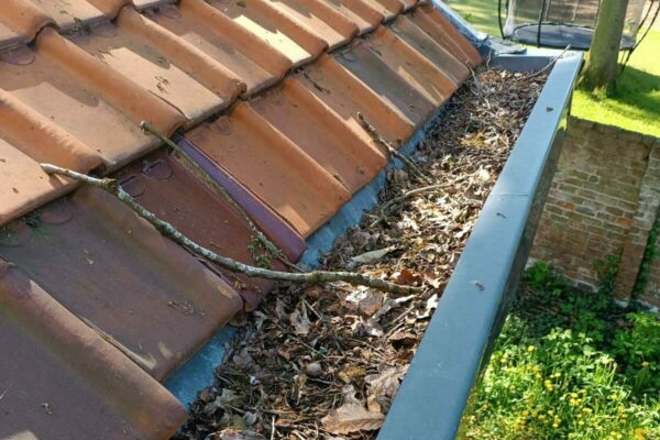 WhatsApp Image 2025-10-27 à 09.24.02_5cdbc7c9