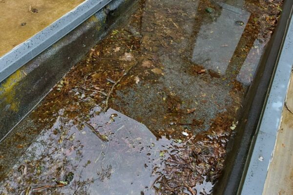 WhatsApp Image 2025-10-27 à 09.24.03_2342f2a3