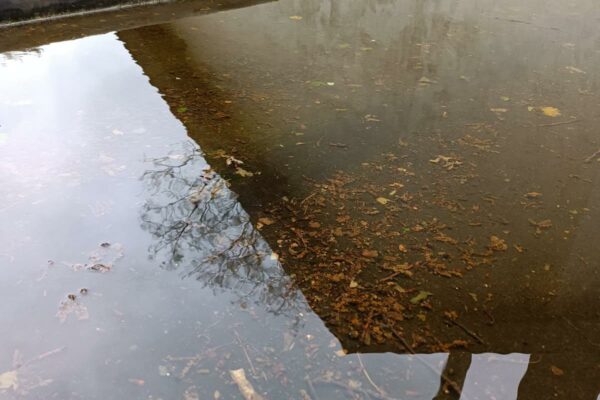 WhatsApp Image 2025-10-27 à 09.24.03_4b01b9dc